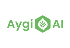 aygi